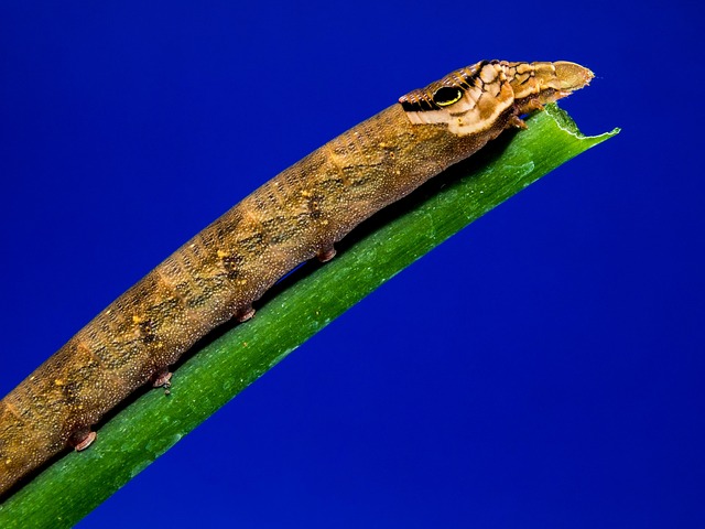 How to check a designer's credentials and portfolio