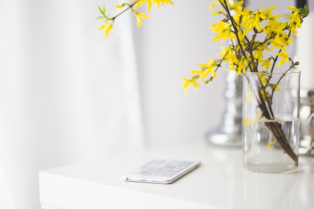 Minimalist Home Decor Style Explained