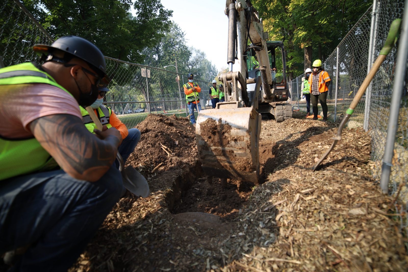 Root Intrusion Drains vs Sewer Lines Basics
