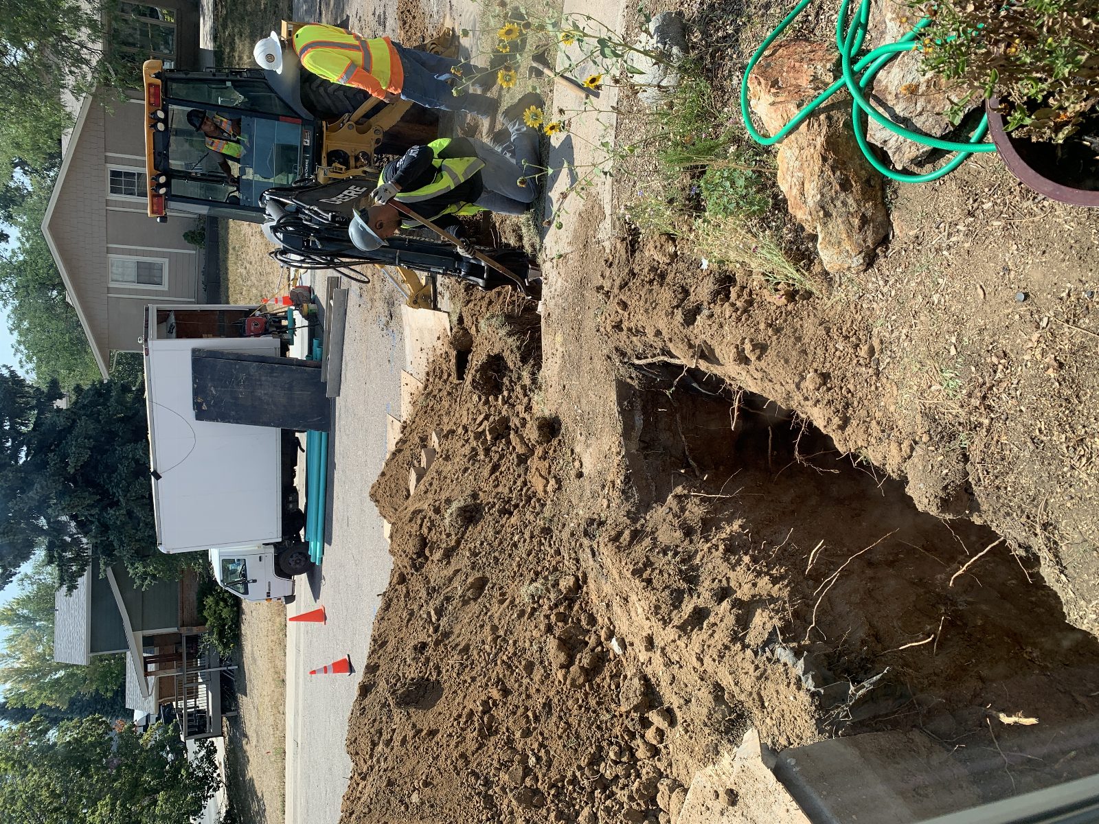 Tree Roots and Outdoor Causes of Drain Blockages