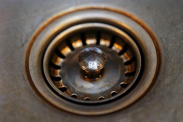 What Are Toilet Drains and Floor Drains?